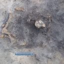 Neobvyklý hrob z doby kamenné – vedle sebe tu leží člověk a pes - remains-of-mesolithic-dog