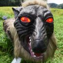 Robotický „Monster Wolf“ straší japonské medvědy - 5568764_0