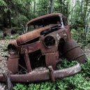 Pohřebiště veteránu v kouzelném švédském rašeliništi - Cementerio de autos de Kyrkö  Suecia (7)