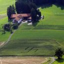 Německý les se svastikou není jediným svého druhu - forest-swastikas-5