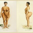 Sarah Baartmanová – tragický příběh mladé africké otrokyně - 1024px-Sawtche_(dite_Sarah_Saartjie_Baartman),_étudiée_comme_Femme_de_race_Bôchismann,_Histoire_Naturelle_des_Mammifères,_tome_II,_Cuvier,_Werner,_de_Lasteyrie