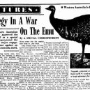 Bizarní australská „válka s emuy“ z roku 1932 - emu_G2