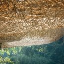 Křehký půvab klenuté „chodby“ z bambusu - -建筑摄影-17