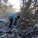 Nevábné místo plné odpadků přeměnil senior v zelený les - Mardin tree grower 3