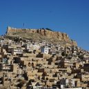 Nevábné místo plné odpadků přeměnil senior v zelený les - Mardin tree grower 7