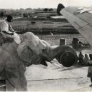 Sloní síla v moderních válečných letech - elephants-in-war (17)