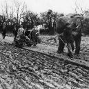 Sloní síla v moderních válečných letech - elephants-in-war (2)
