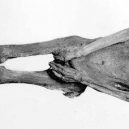 Egyptské mumie otce – oběti a syna – vraha - screaming-mummy