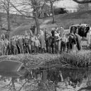 „Bouračky“ (nejen) ve 30. letech minulého století objektivem profesionálního fotografa - vintage-photos-car-wrecks (40)