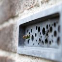 Unikátní řešení pro zmírající včely – včelí cihly - fas