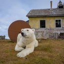 Polární medvědi pod opuštěnou lidskou střechou - rzed